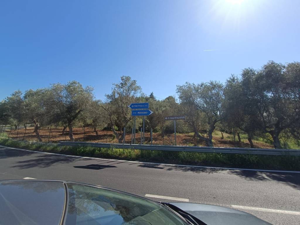 Terreno a Modugno in Contrada Macchia Fracida - Foto 3