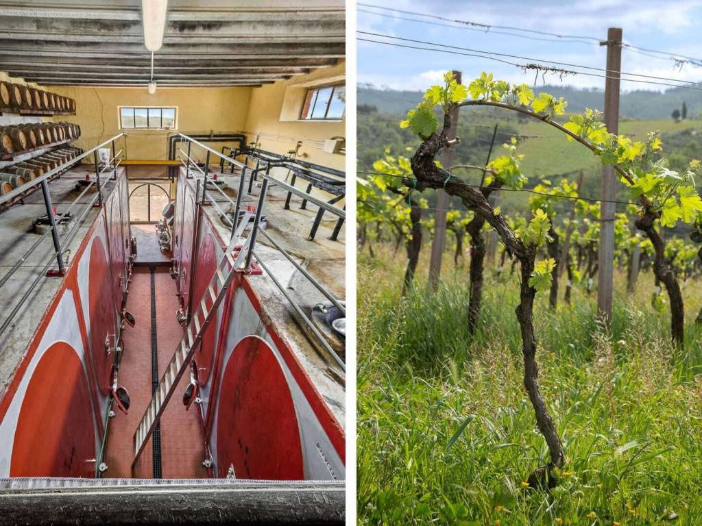 Rustico / casale a Gaiole in chianti - Foto 2