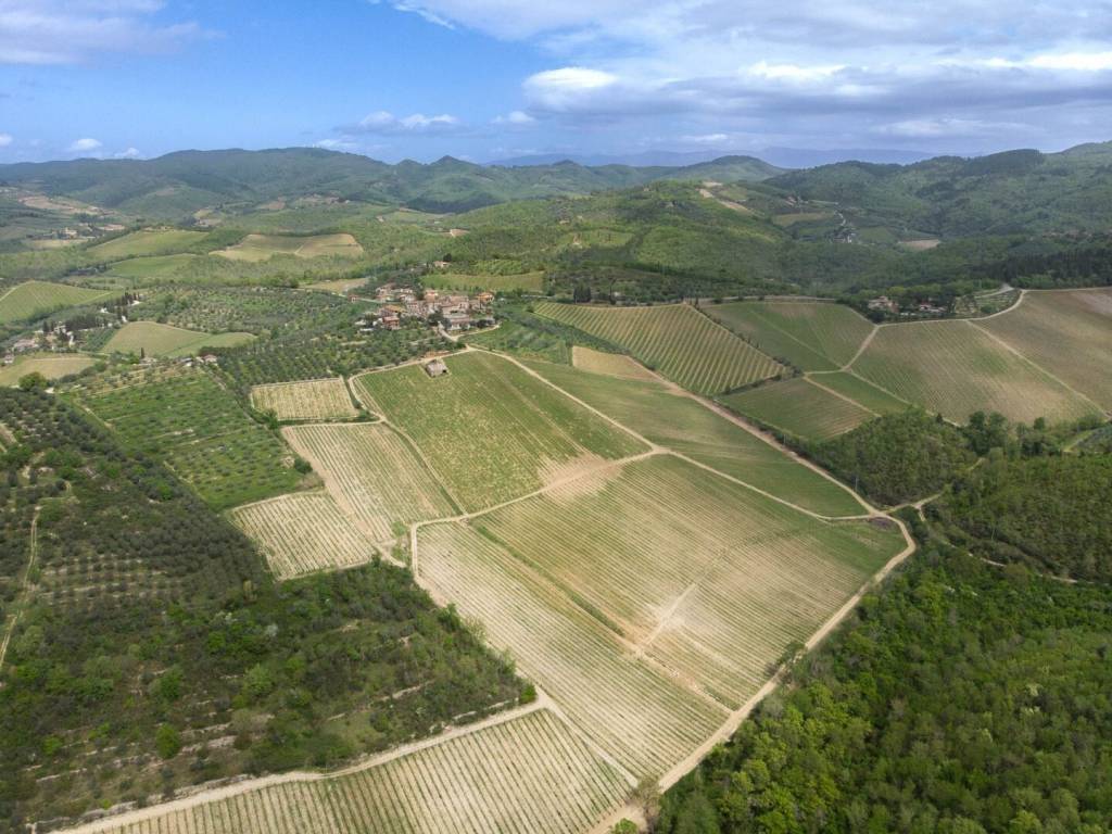 Rustico / casale a Gaiole in chianti - Foto 3