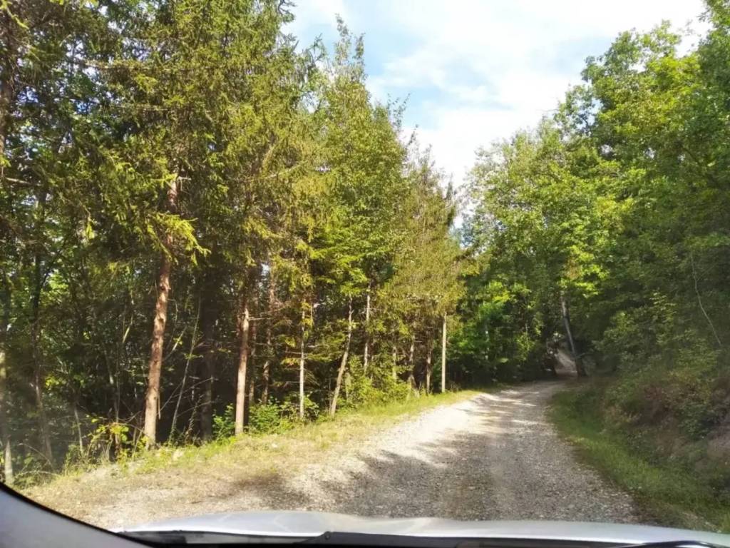 Rustico / casale a Travo in Strada di Viserano - Foto 3