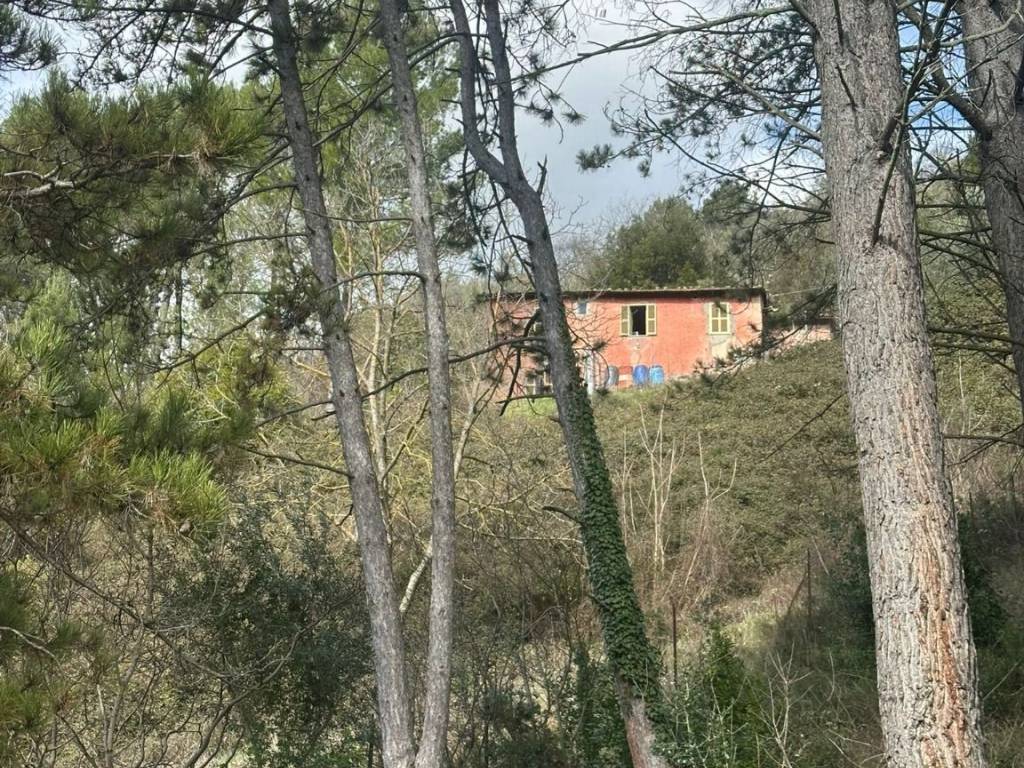 Villa a Montefranco in Via Strada Statale Valnerina, 2 - Foto 4