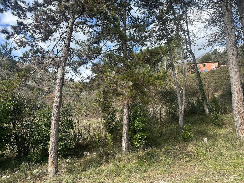 Villa a Montefranco in Via Strada Statale Valnerina, 2 - Foto 5