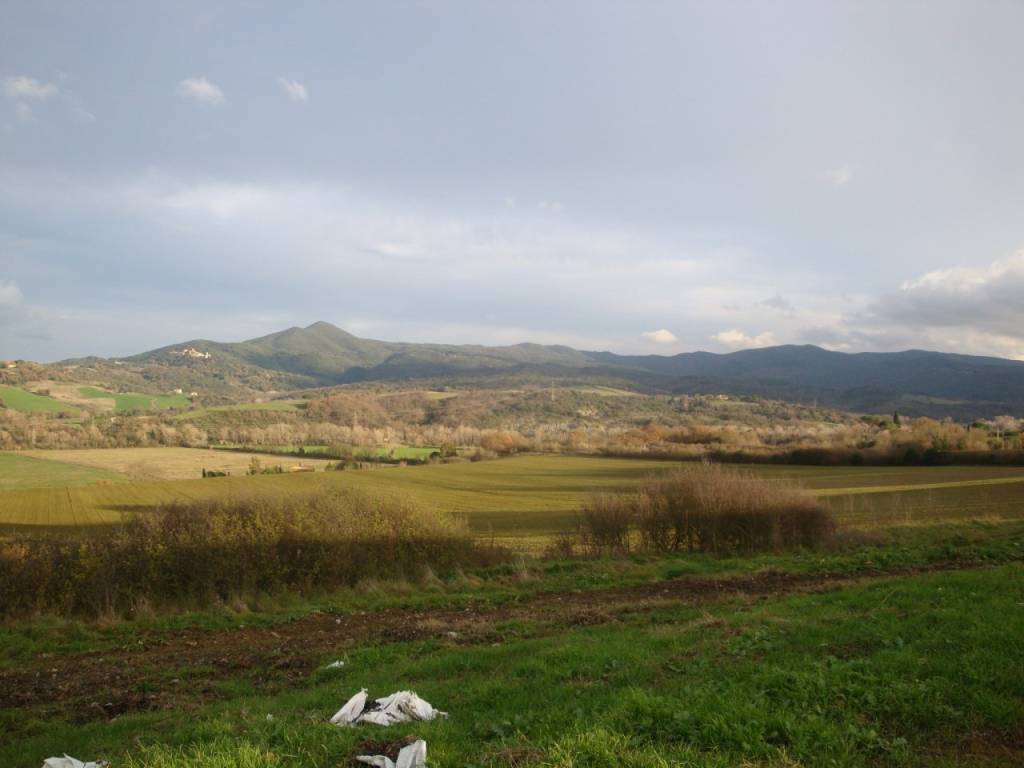 Immobile a Bibbona - Foto 3