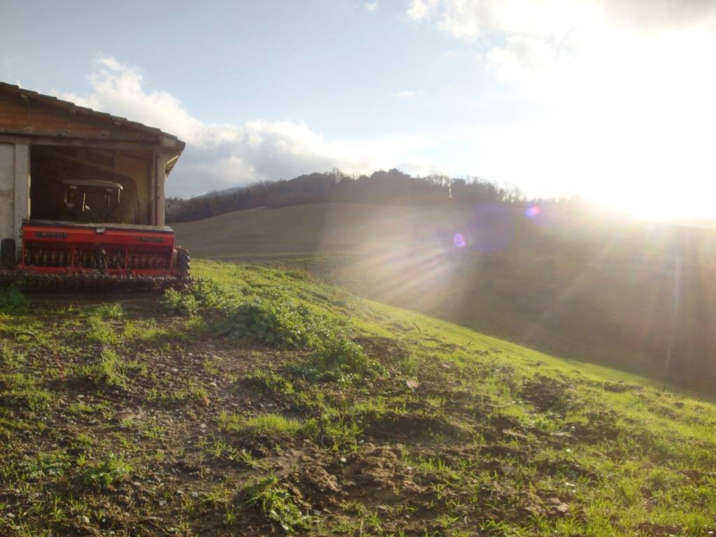 Immobile a Bibbona - Foto 5