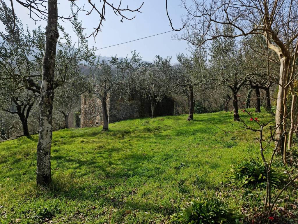 Casa indipendente a Casalvieri in VIA OLIVE - Foto 4