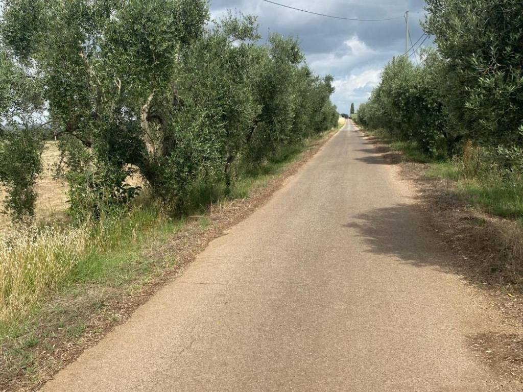 Terreno a Cisterna di latina in Via Bufolareccia - Foto 5