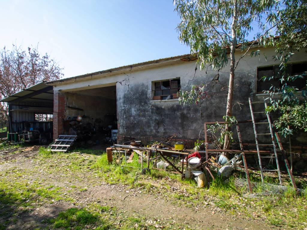 Rustico / casale a Capalbio in Località Centro D - Foto 2