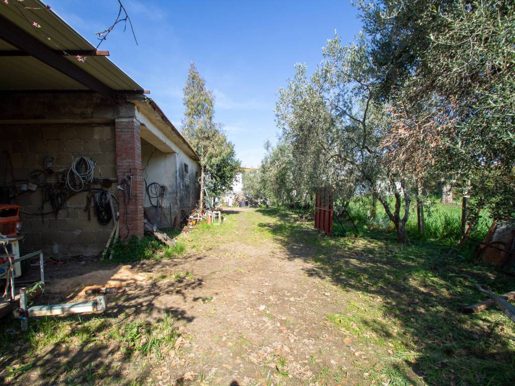 Rustico / casale a Capalbio in Località Centro D - Foto 3