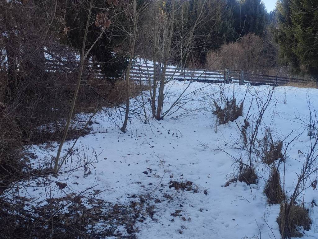 Villa a Roana in Via Pannocchio, 46 - Foto 5