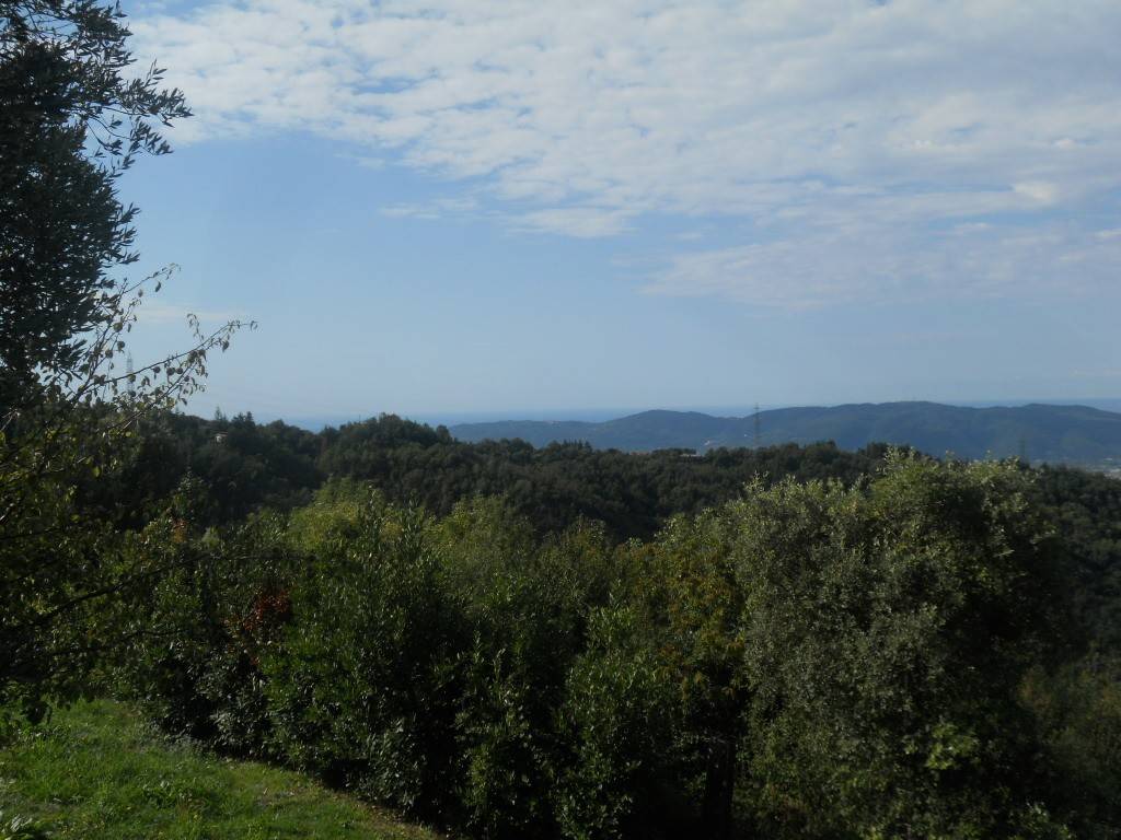 Terreno a Sarzana in Via Alta - Foto 5