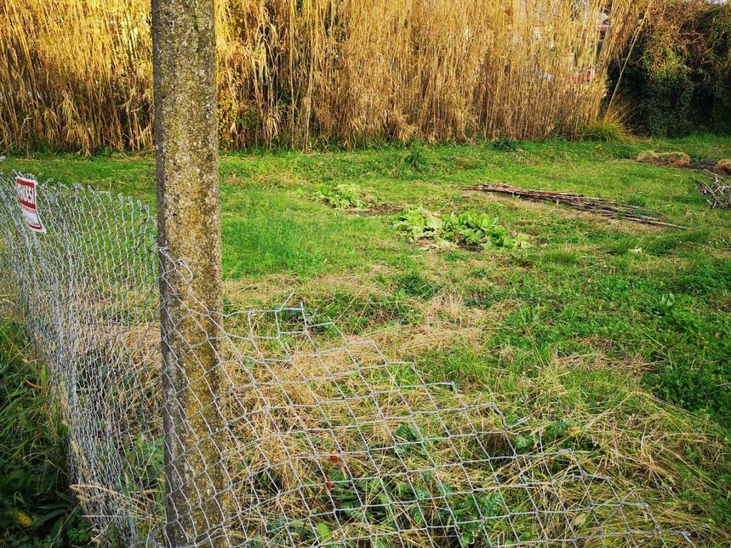 Terreno a Castelnuovo magra in Via Carbone, 16 - Foto 3
