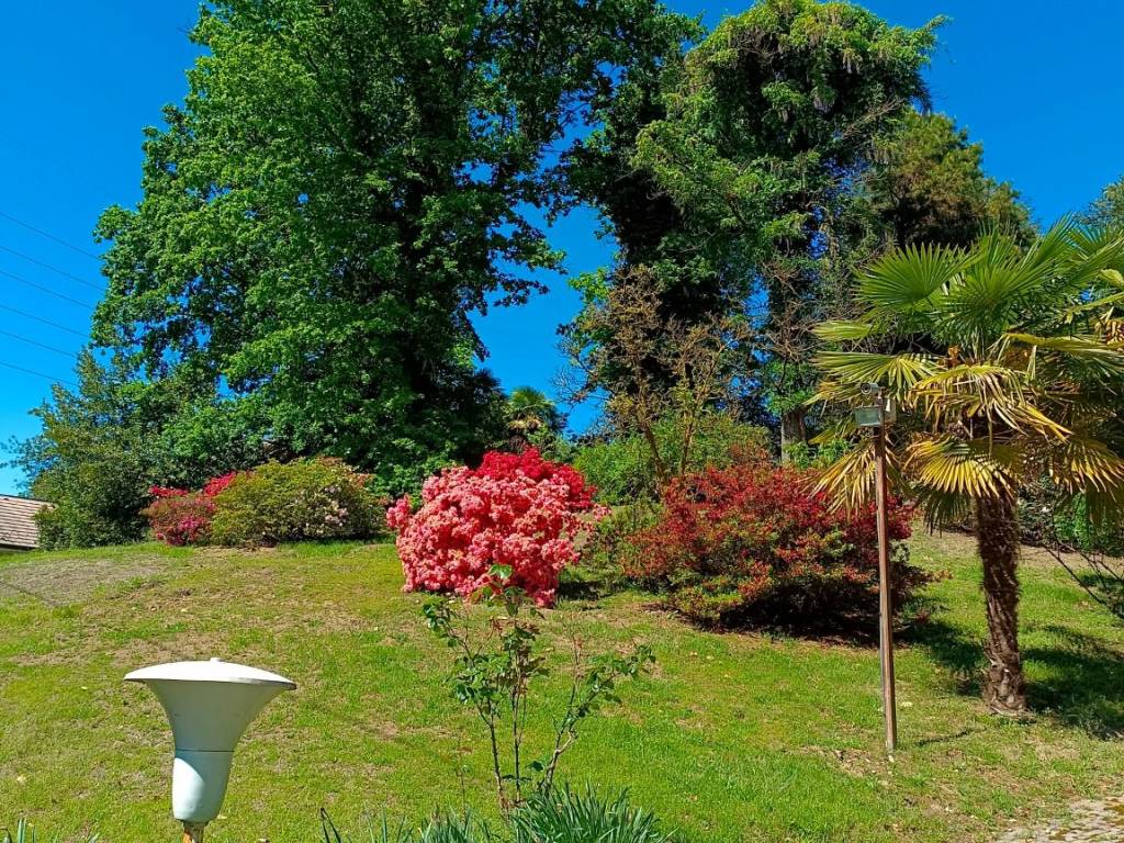 Villa a Golasecca in Viale Europa, 20 - Foto 3