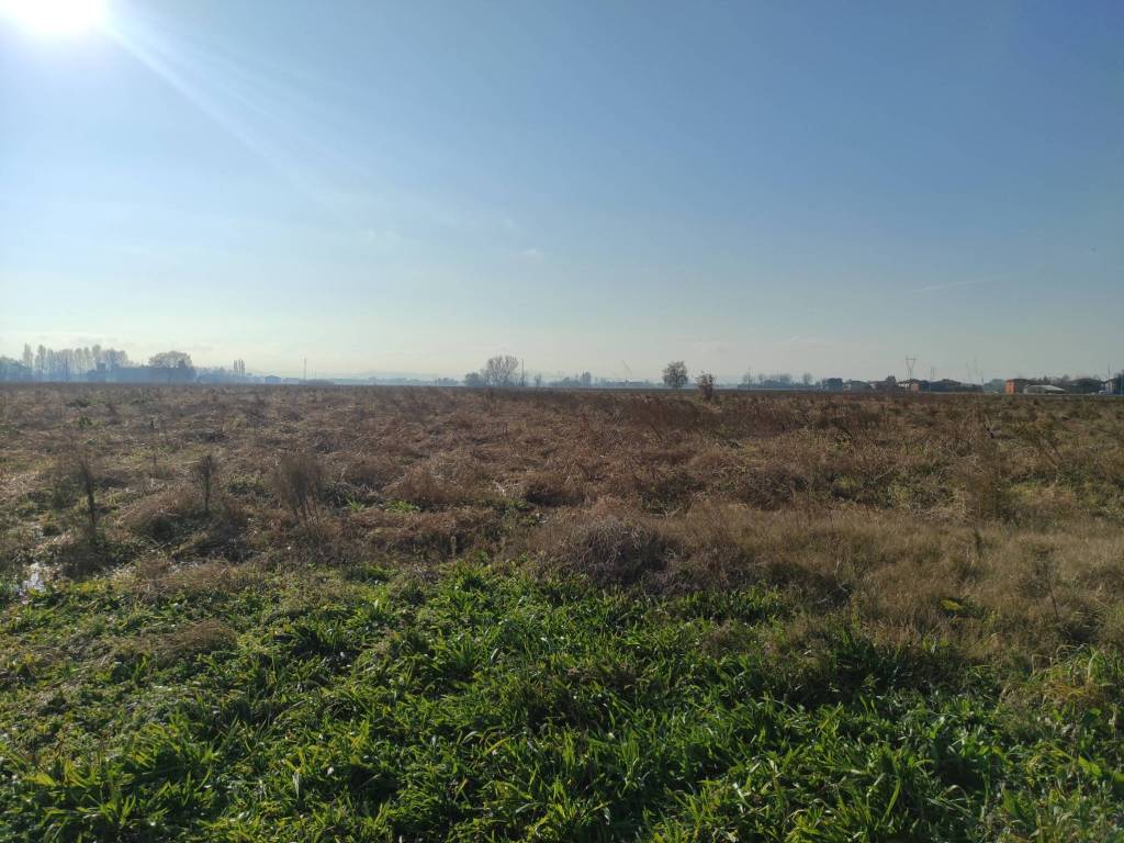 Terreno a Budrio - Foto 2