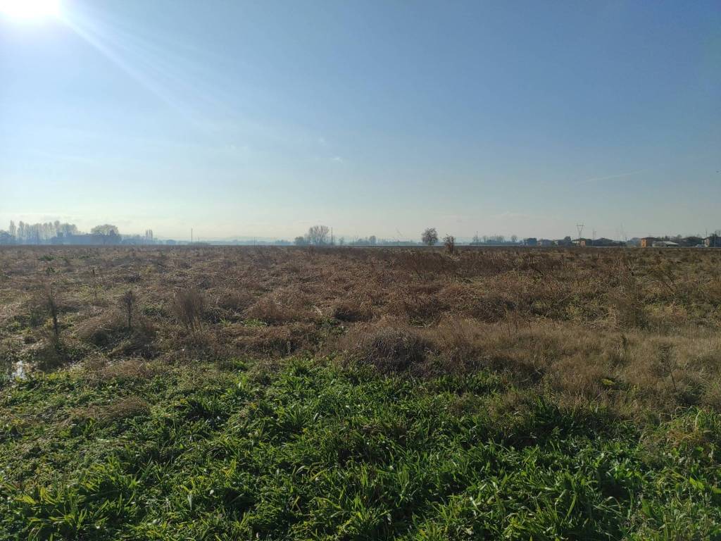 Terreno a Budrio - Foto 4