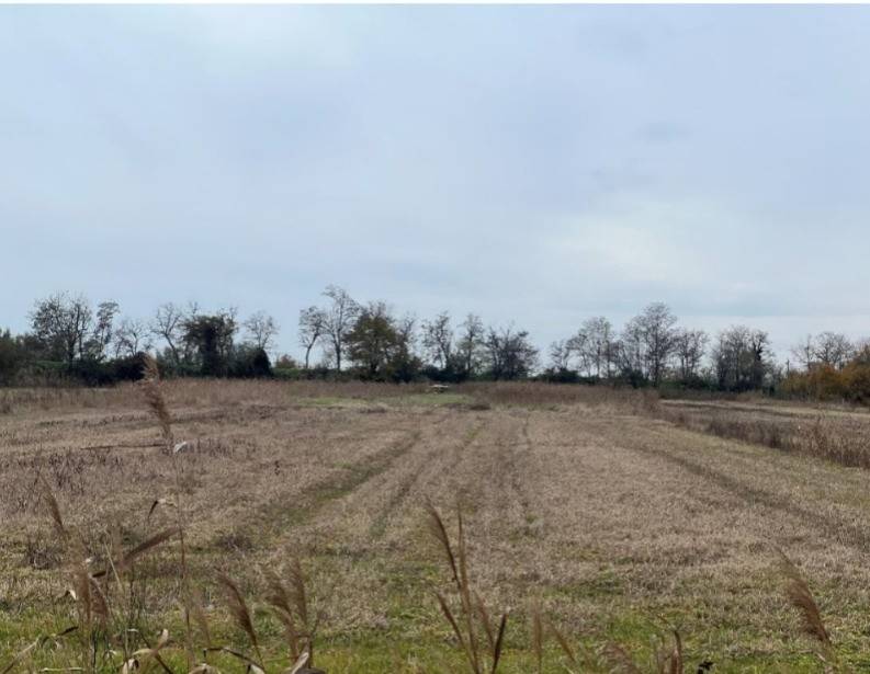 Terreno a Venezia in Via Altinate - Foto 3