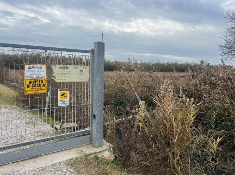 Terreno a Venezia in Via Altinate - Foto 4