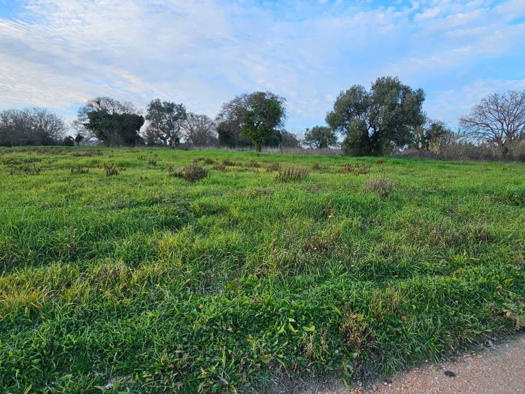 Terreno a Civitanova marche in Via Andrea Doria - Foto 3