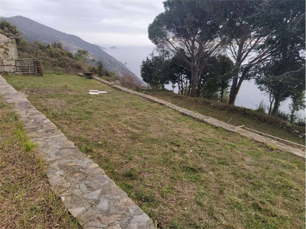 Rustico / casale a Riomaggiore in LOCALITA' TERZO - Foto 5