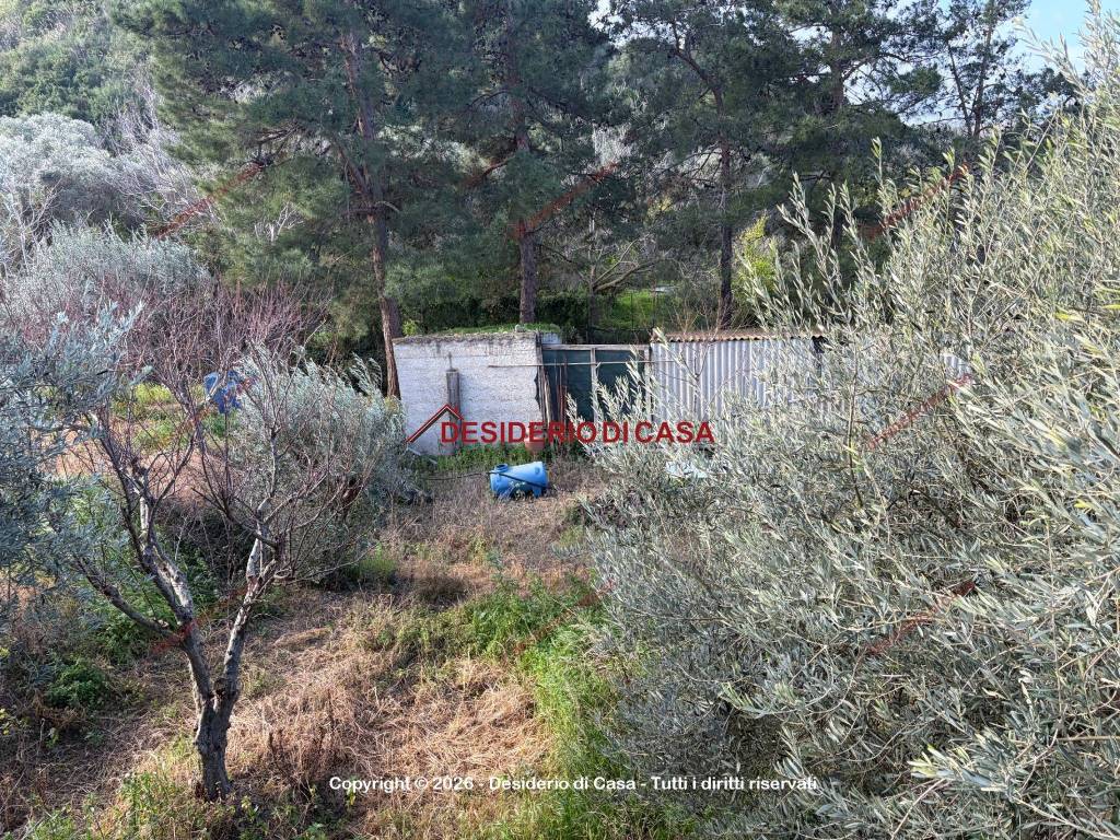 Terreno a Lascari in Contrada Piane Vecchie - Foto 2