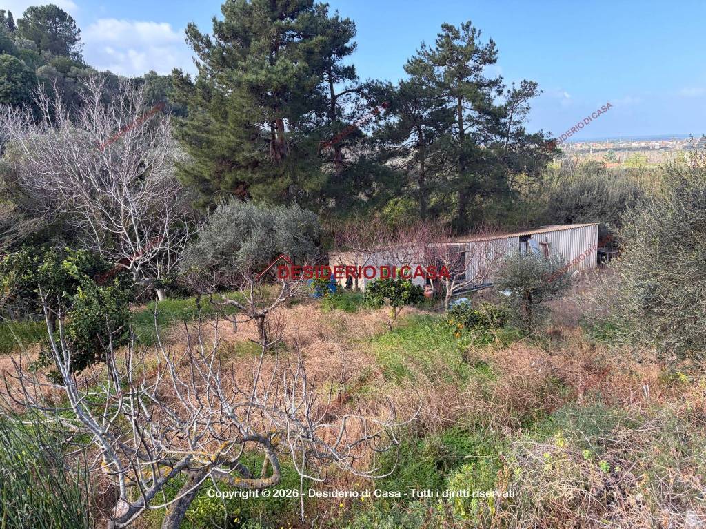 Terreno a Lascari in Contrada Piane Vecchie - Foto 4