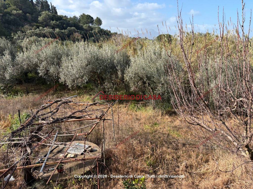 Terreno a Lascari in Contrada Piane Vecchie - Foto 5