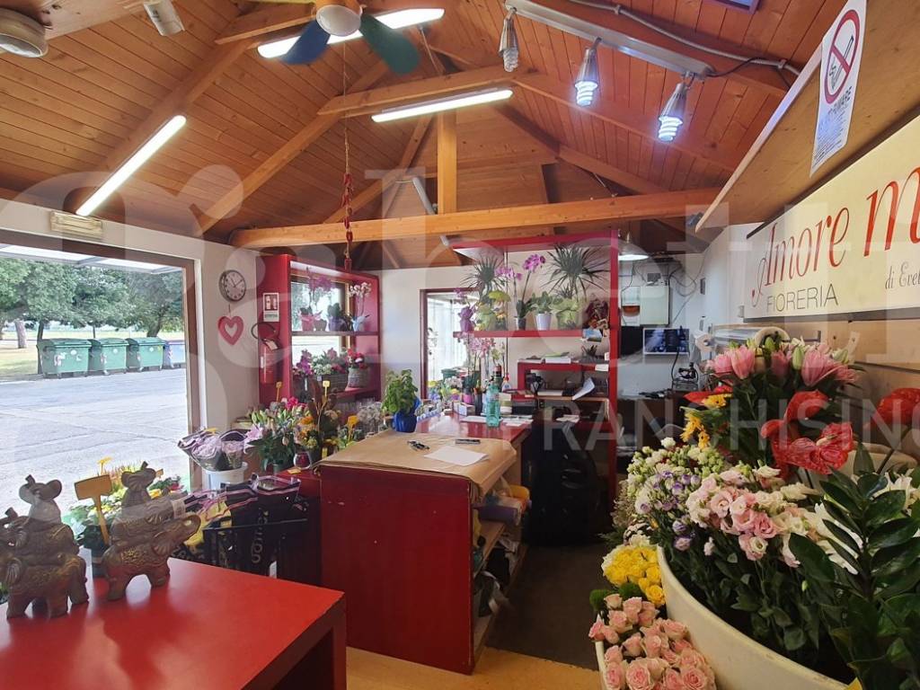 Immobile a Cividale del friuli - Foto 5