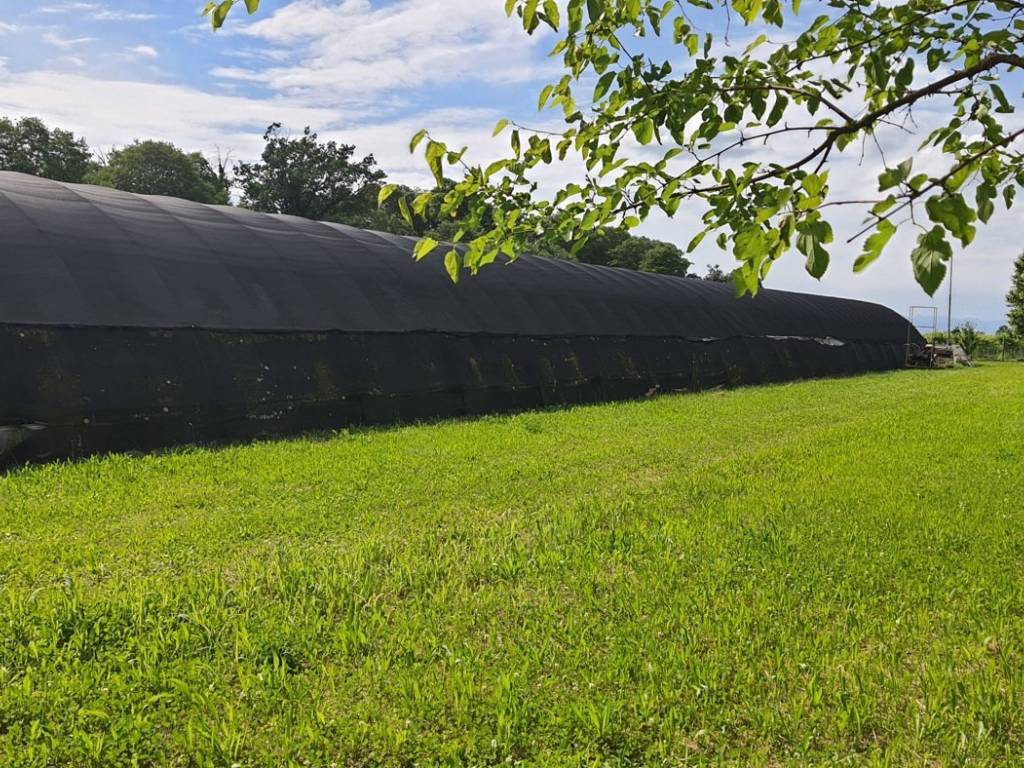 Terreno a Manzano in via Giulia Piccoli, 3 - Foto 3