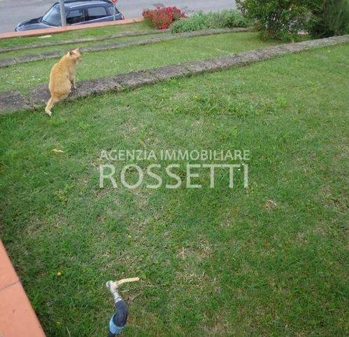 Appartamento a Fucecchio - Foto 2