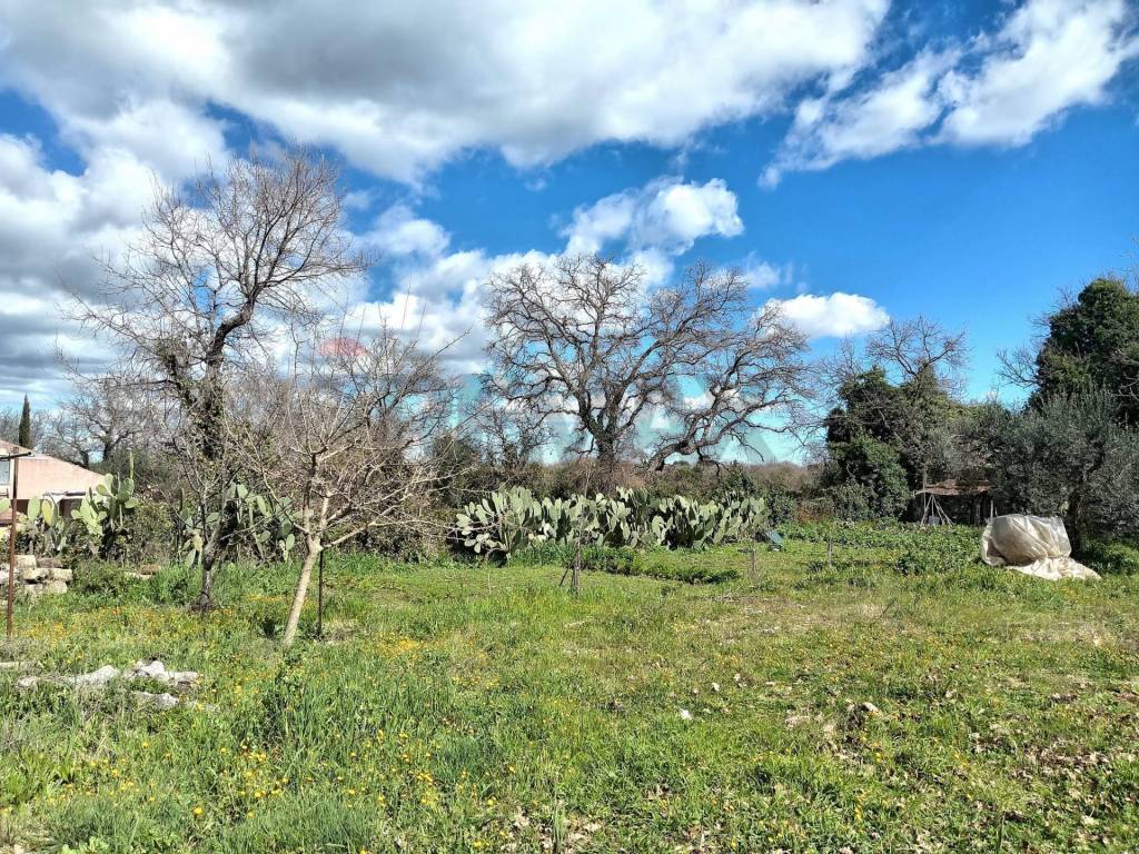 Terreno a Palazzolo acreide in Contrada Casabianca - Foto 2