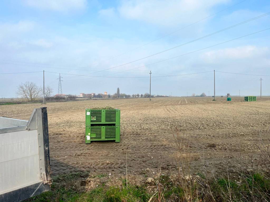 Terreno a Portomaggiore in Via Campanella, 9 - Foto 3