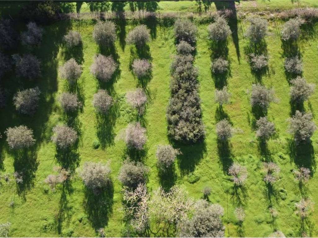 Villa a Quartucciu in via delle primule , 2 - Foto 3