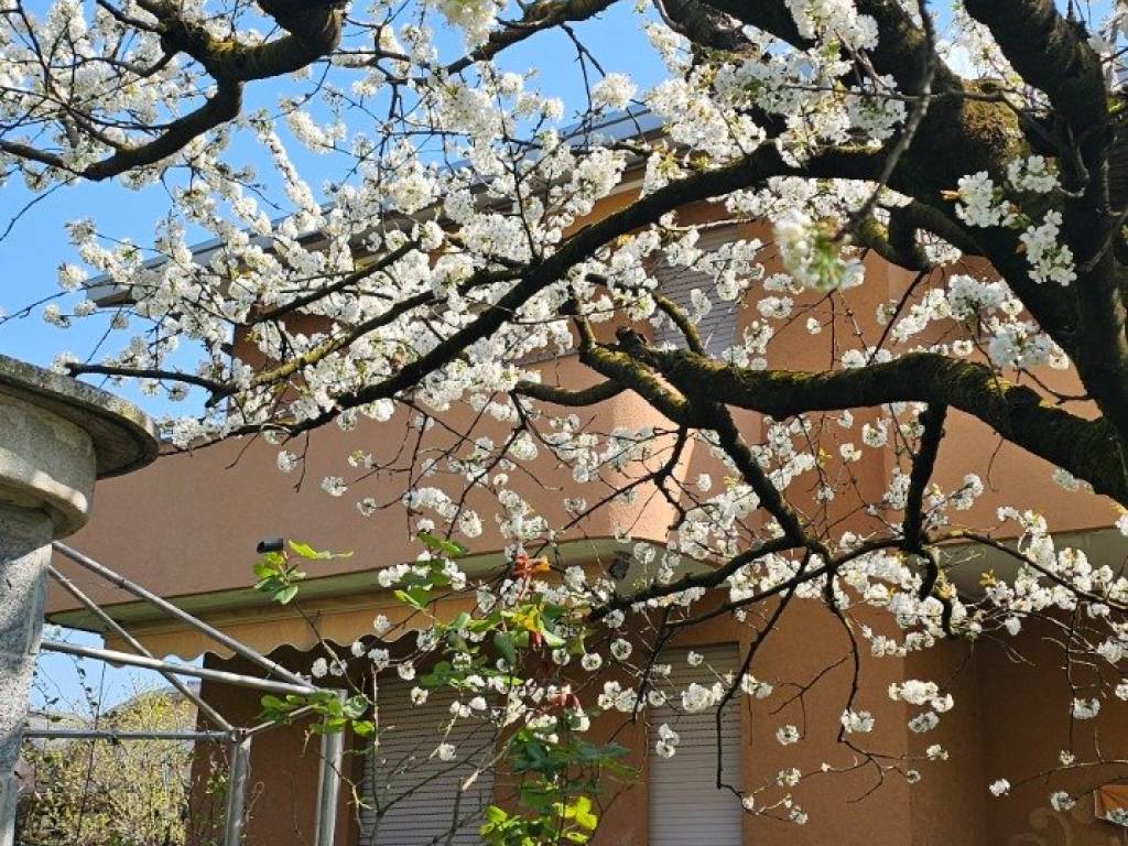 Villa a Oggiona con santo stefano in Via 8 Marzo - Foto 2