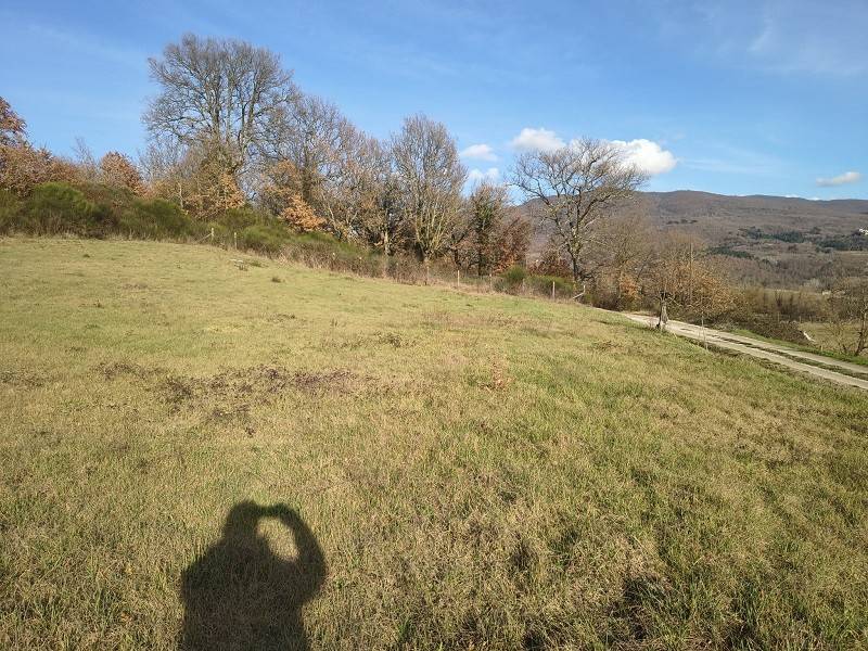 Terreno a Poppi - Foto 3
