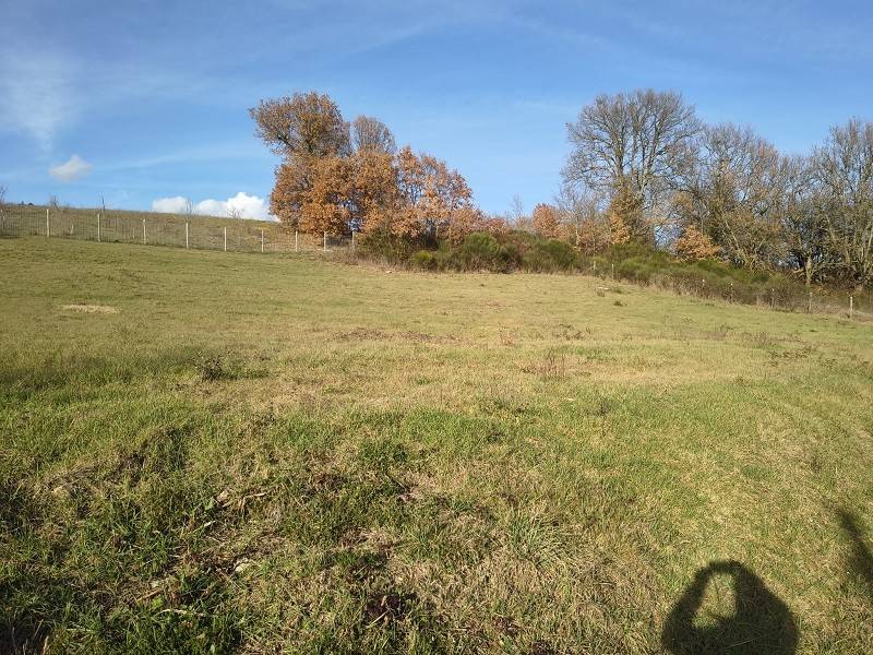 Terreno a Poppi - Foto 5