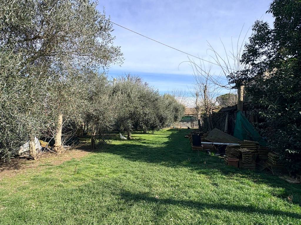 Rustico / casale a Chiaravalle in Via San Bernardo - Foto 4