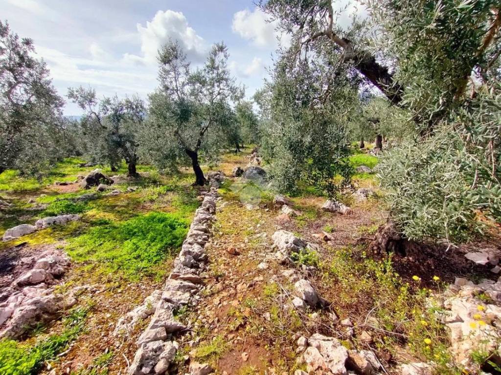 Terreno a Gaeta in Via Forte Emilio Savio - Foto 3
