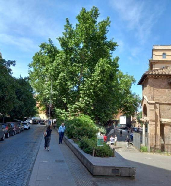 Appartamento a Roma in Piazza di San Cosimato - Foto 2