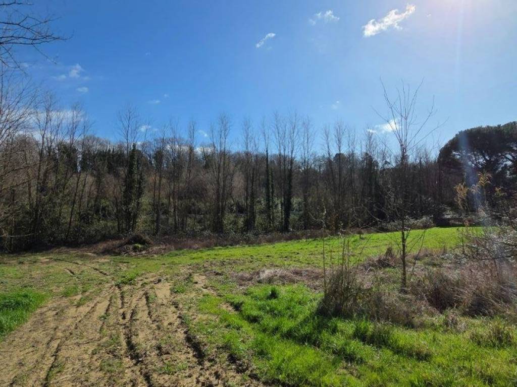 Terreno a Fauglia in Via Querciole, 26 - Foto 2