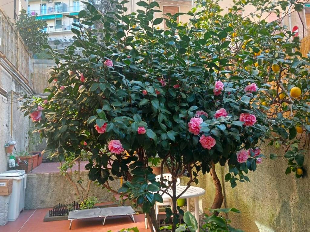Appartamento a Genova in Via Camillo Vianson, 8 - Foto 2