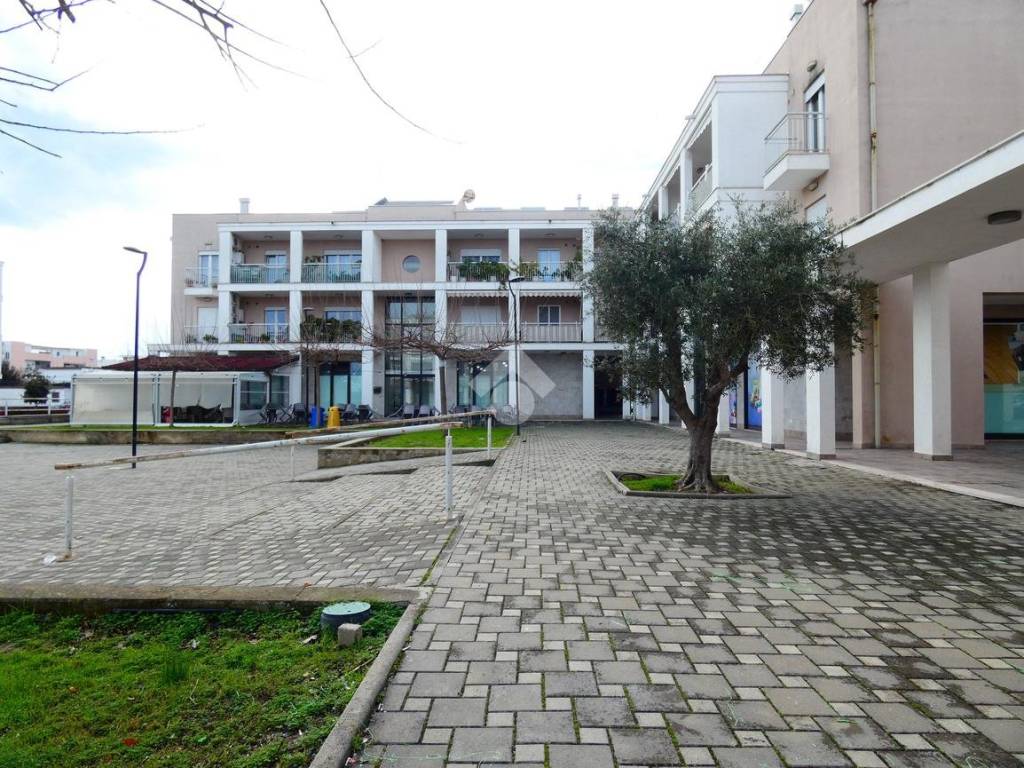 Appartamento a Nova siri in Via Trieste, 24 - Foto 3