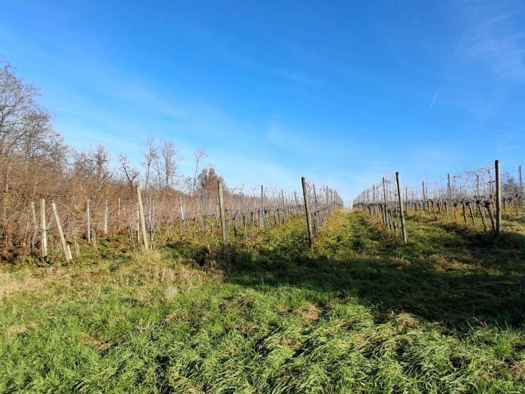 Terreno a Capriano del colle in Via Montenetto - Foto 3