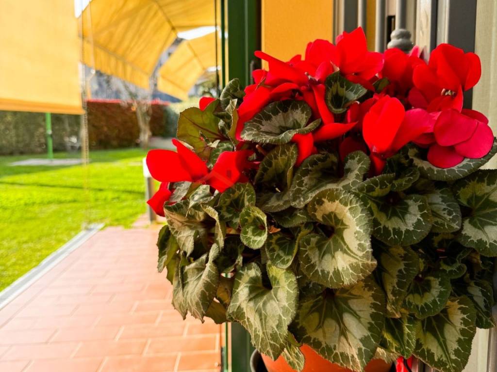 Villa a Rimini in Via Bidente - Foto 3