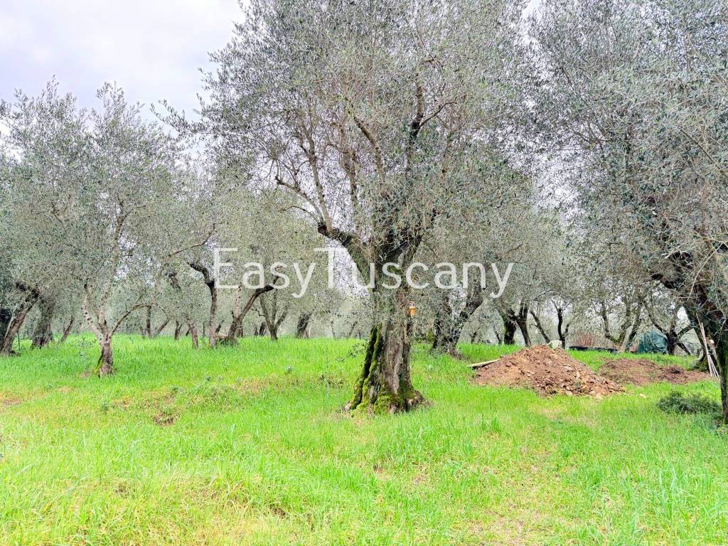 Villa a Montecatini-terme in Via Maona, 59 - Foto 4