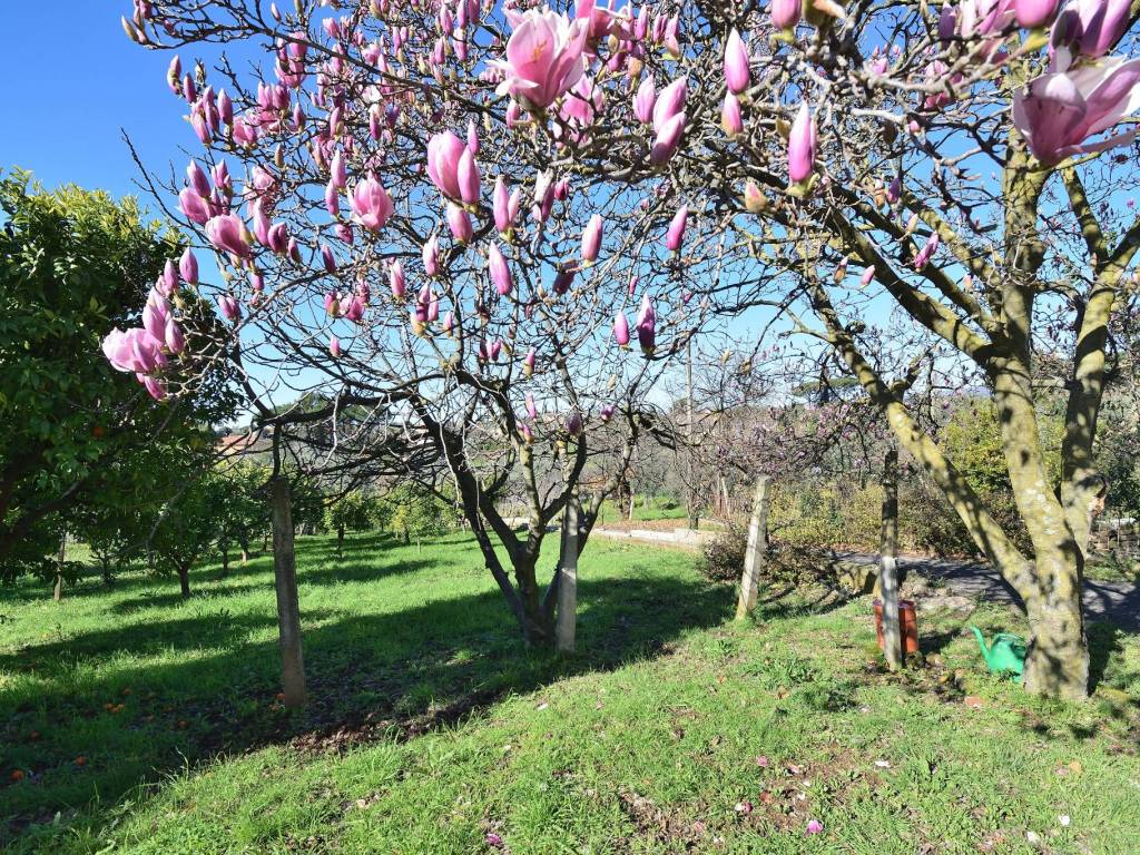 Villa a Velletri in Via Pratolungo - Foto 4