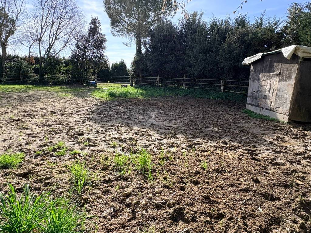 Rustico / casale a Chiaravalle in Via San Bernardo - Foto 5