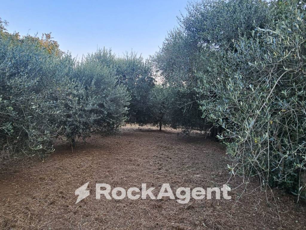 Terreno a Vignanello in SP26, 68 - Foto 2