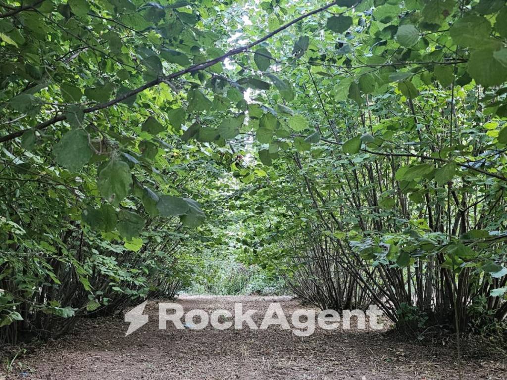 Terreno a Vignanello in SP26, 68 - Foto 3