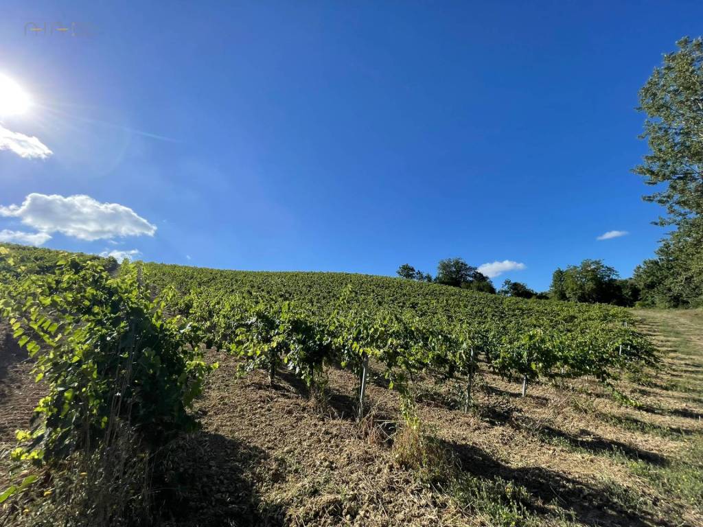 Terreno a Ripatransone in Contrada Collevecchio - Foto 3