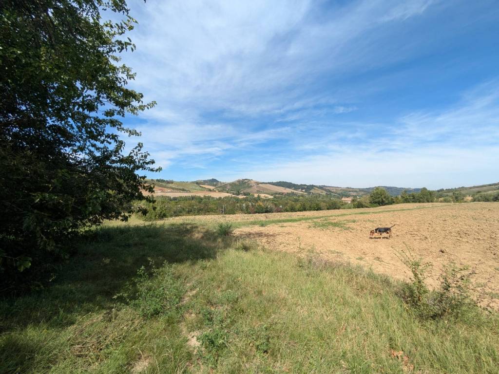 Palazzo / stabile a Pianoro in Via di Campostrino - Foto 4