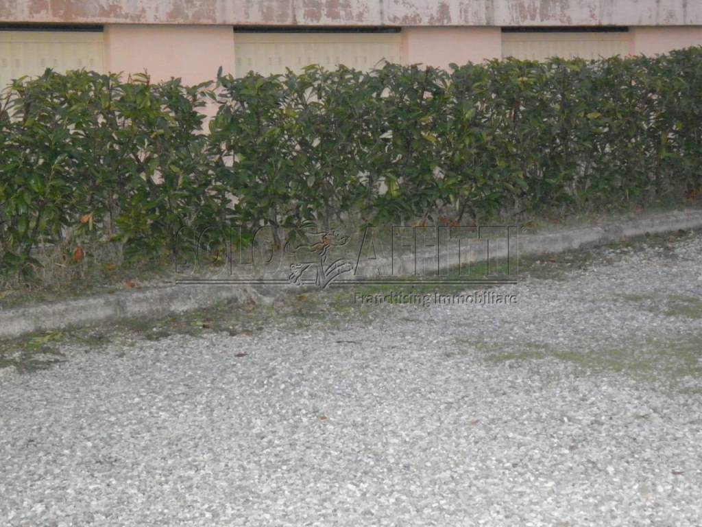 Appartamento a Siena in STRADA DI BUSSETO - Foto 5